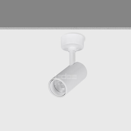 CL304W 6